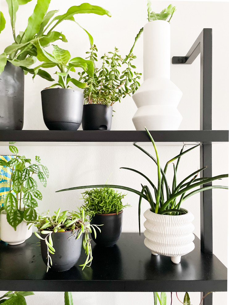 Modern Masculine Living | Cherry Creek, CO | Contemporary Condo Remodel