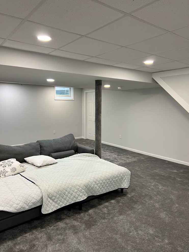 Basement Renovation - Hockessin, DE