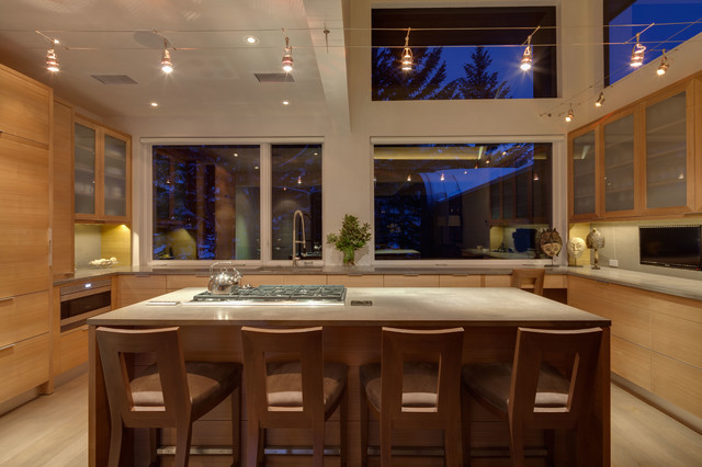 Monarch Kitchen modern-kitchen