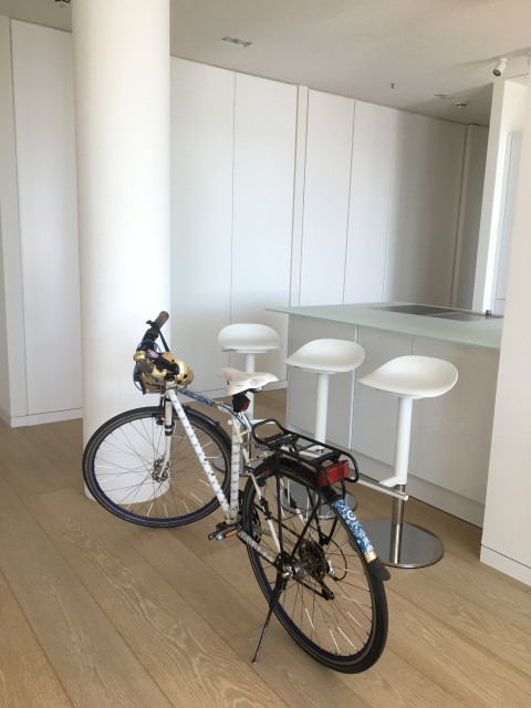 Wohnung Elbphilharmonie Hamburg modern
