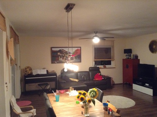 Hilfe! benötige dringend idee für wohn/esszimmer