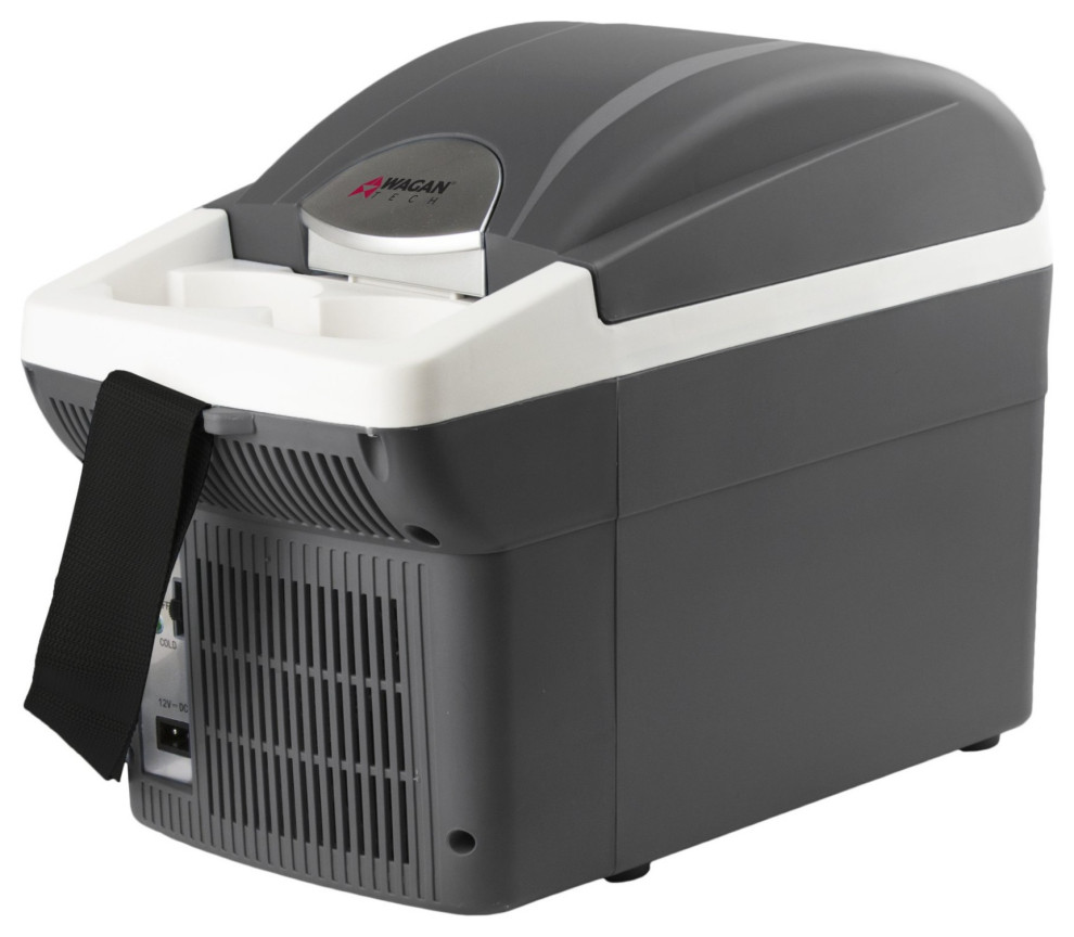 12V ThermoElectric 6L Cooler Contemporary Coolers And Ice Chests