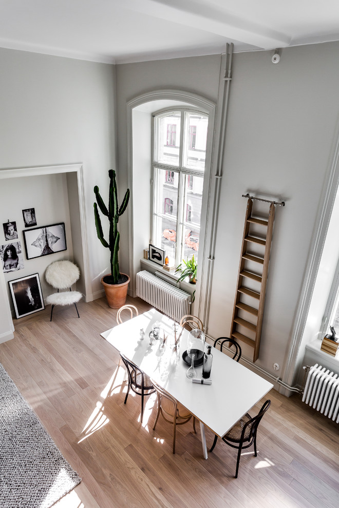 Large scandinavian open plan dining in Stockholm with grey walls and medium hardwood floors.