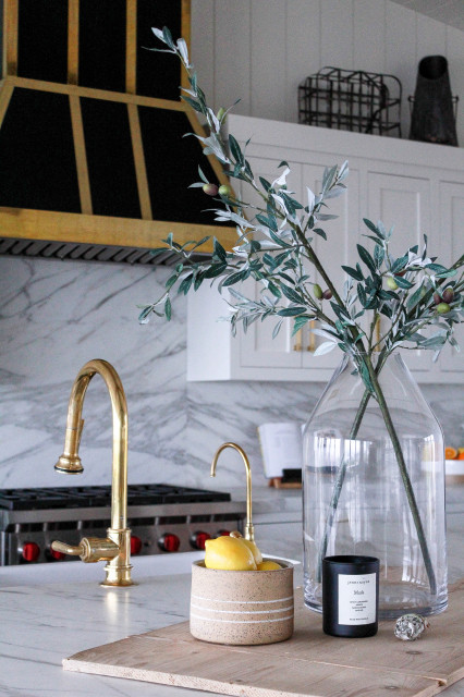 CDM Kitchen transitional-kitchen