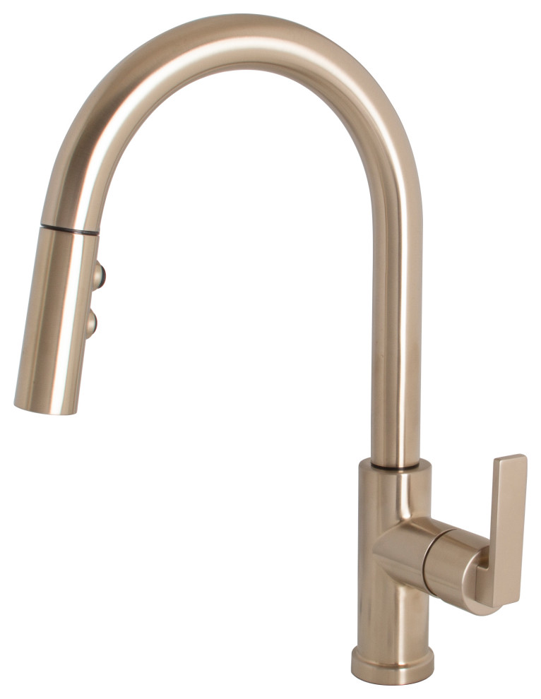 Speakman Lura SB2542BBZ Pull Down Kitchen Faucet Contemporary