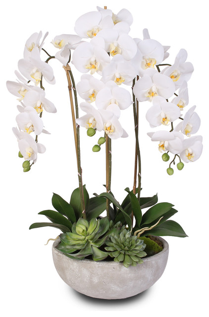 images Modern Succulent Floral Arrangements silk white phalaenopsis orchids and succulents with modern stone bowl