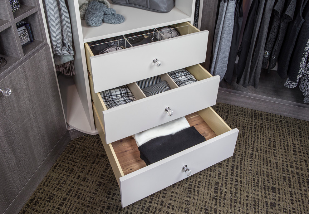 Photo of a transitional storage and wardrobe in Chicago.