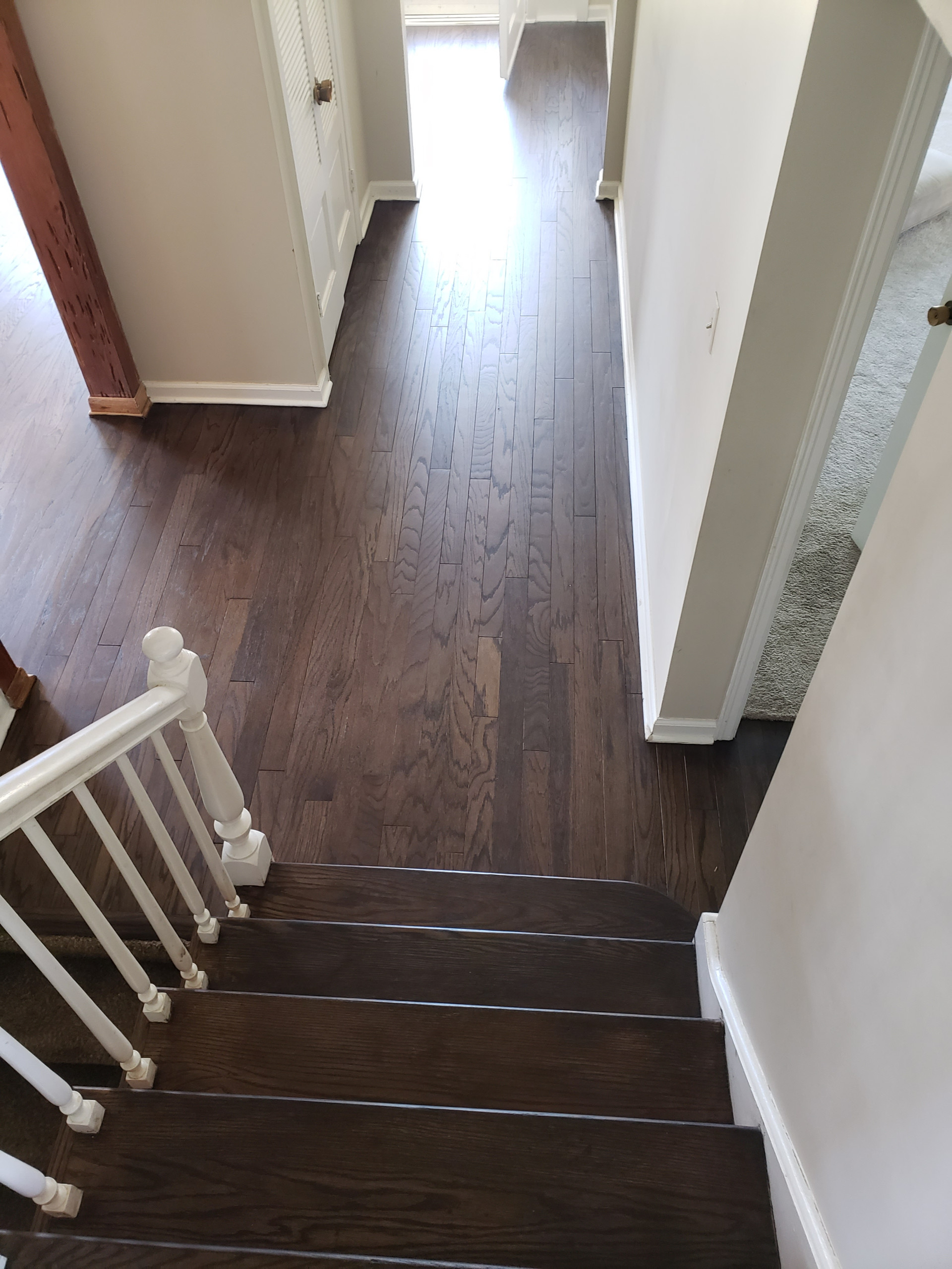 Northbrook,  Red oak floors , Dark Walnut stain , Bona Mega One matte finish