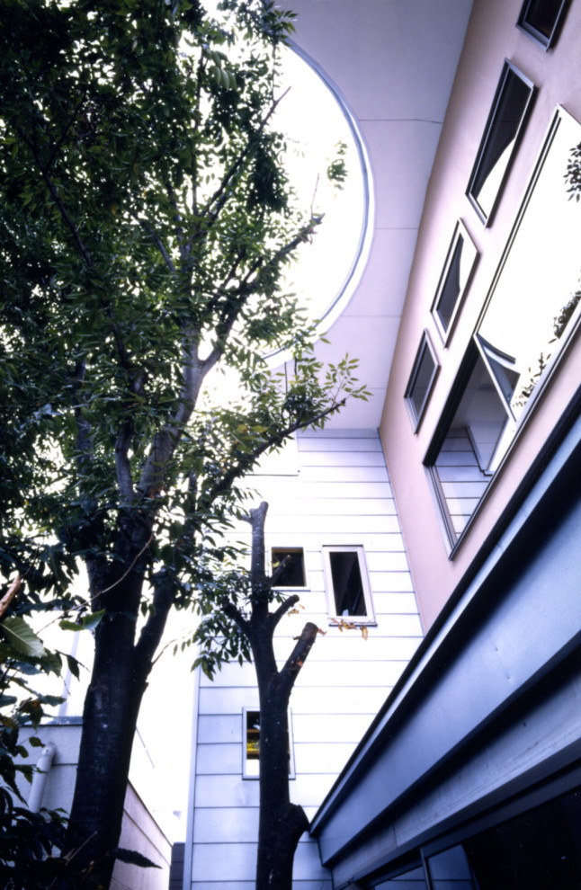 他の地域にある中くらいなモダンスタイルのおしゃれな家の外観 (長方形、メタルサイディング) の写真