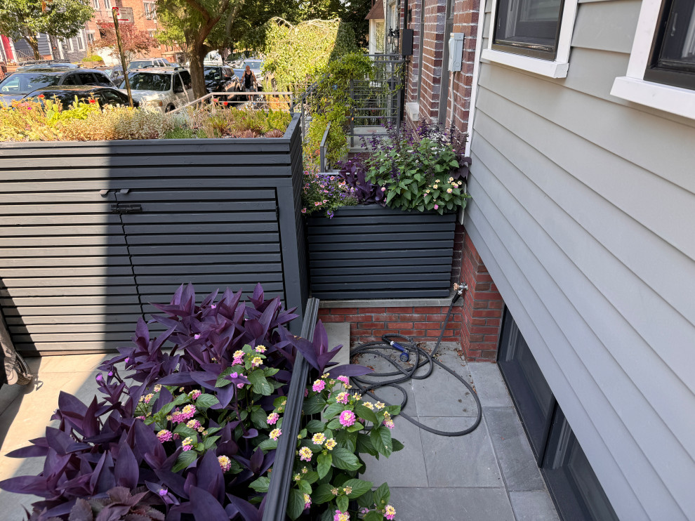 Greenwood front and back yard