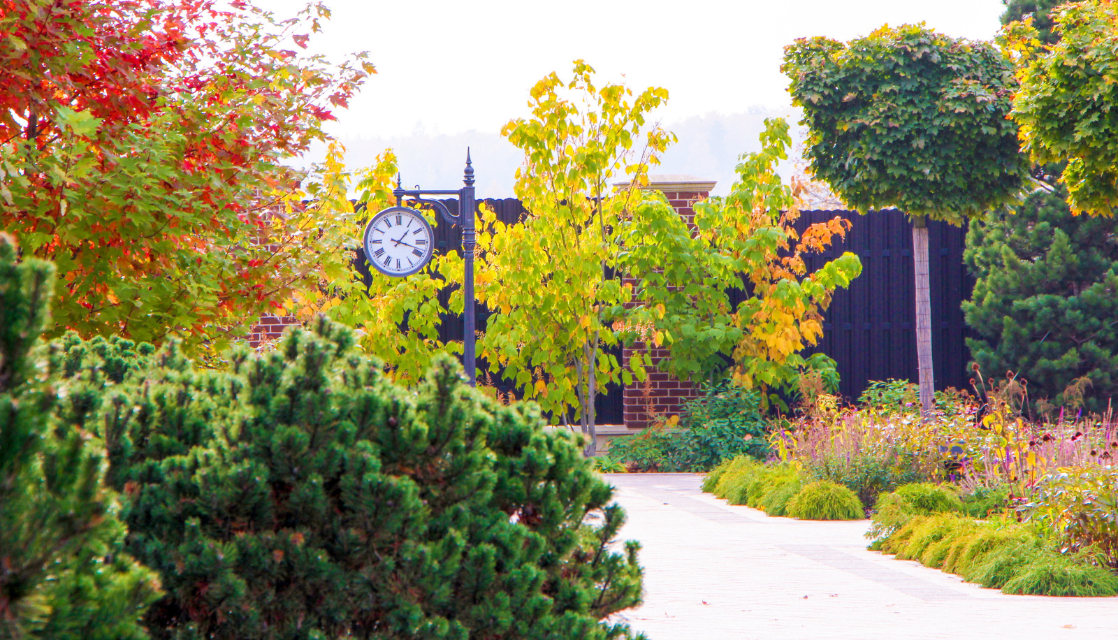 Горки-10, 2017-2020 г.г.