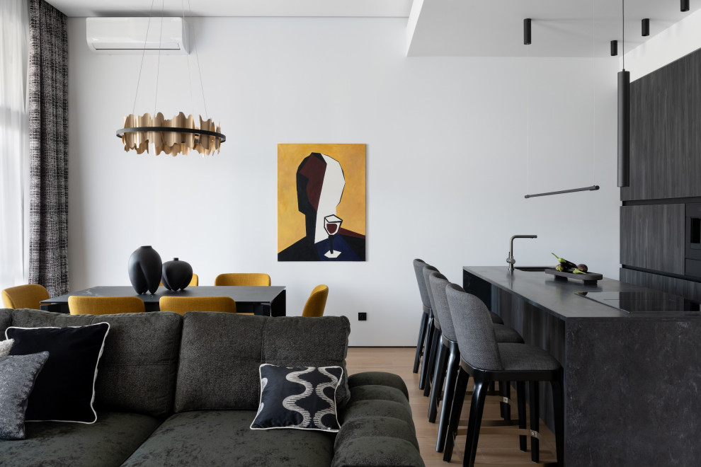 Частный дом в черно-белом цвете