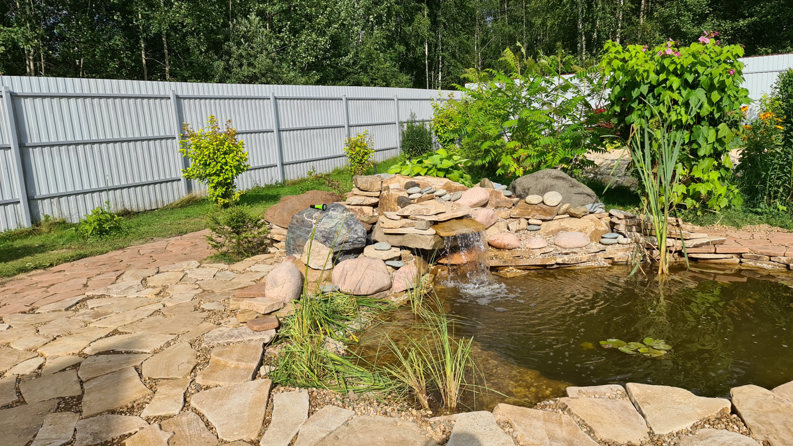 Пруд и дорожки