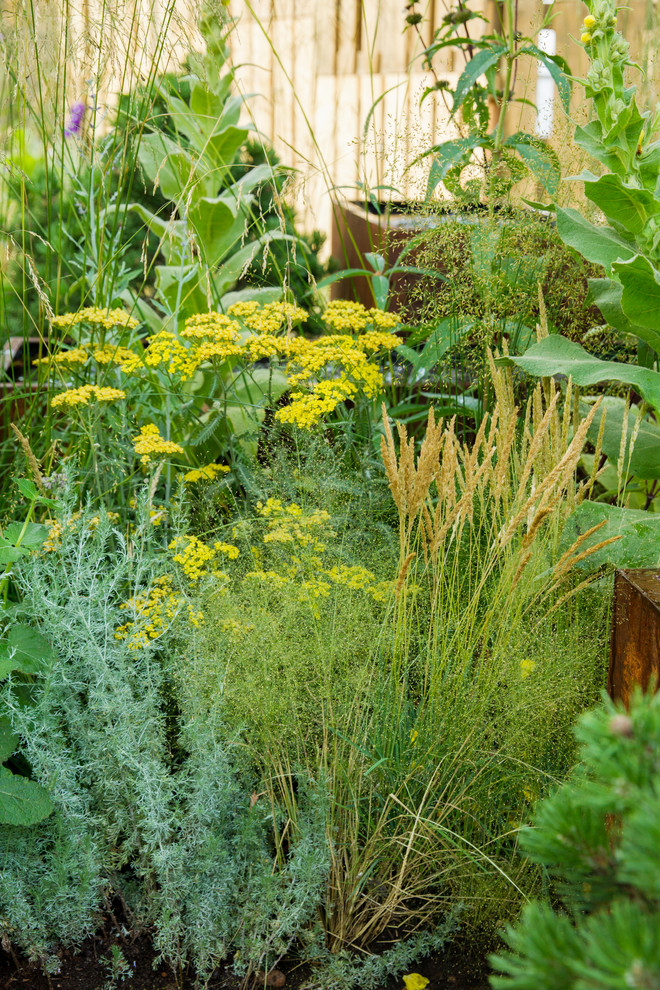 Сад   James Alexander-Sinclair  на Moscow Flower Show 2018  (вне  конкрса)