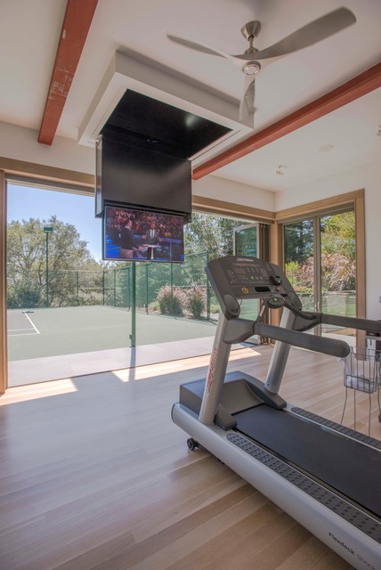 Remodel addition: Gym, tennis court, bar contemporary-hemmagym