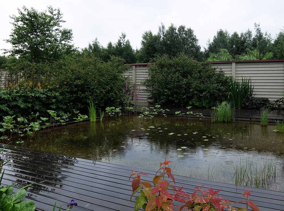 Сад с геометричным водоемом