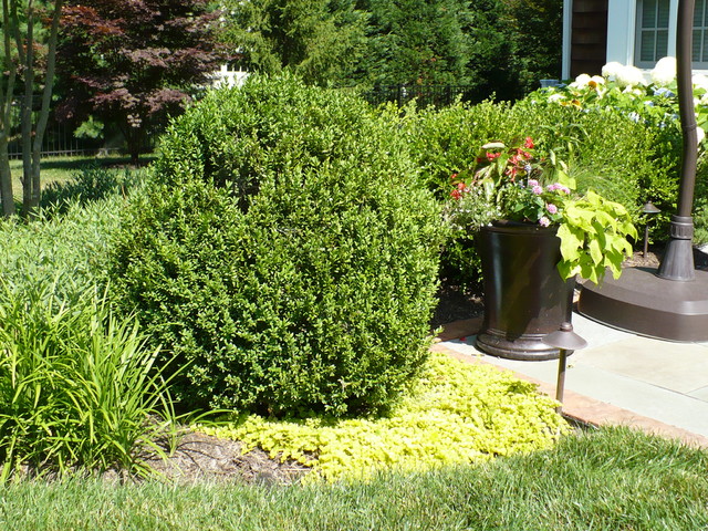 Outdoor Living Area in Towson american-traditional-garden
