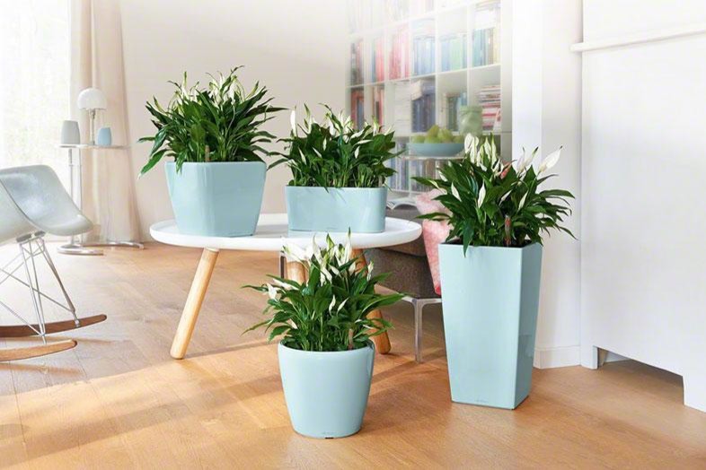 Шик на небольшой площади