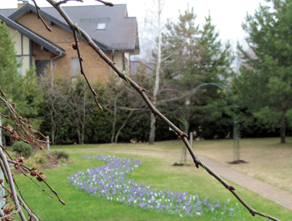 Сад с минимальным уходом.