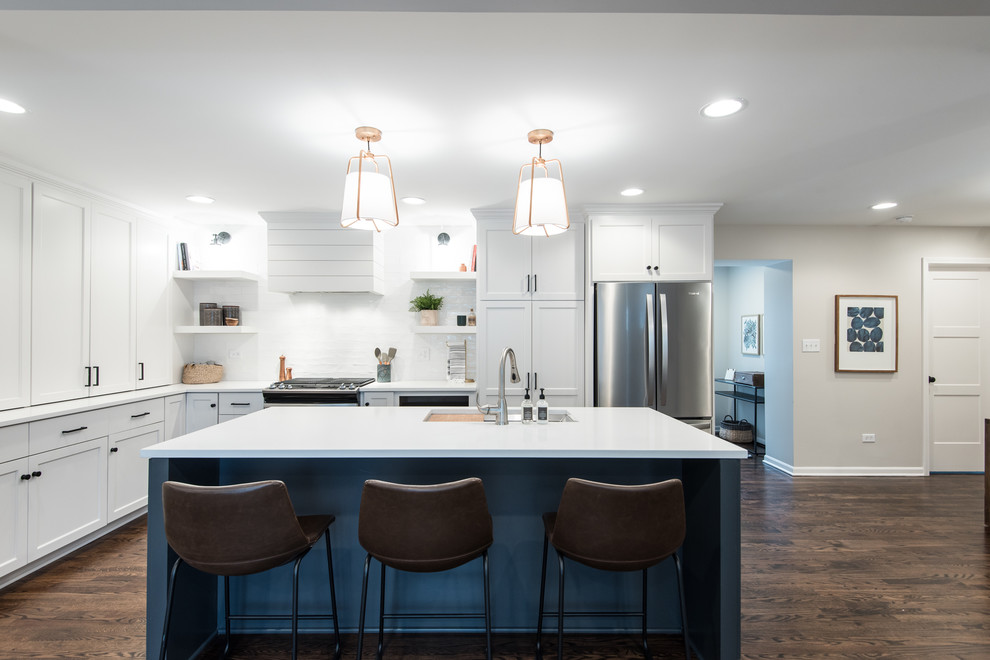 Kitchen - transitional kitchen idea in Chicago
