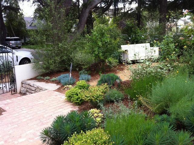 low stucco wall and Pittosporum 'Silver Sheen' offer delicate screening ...