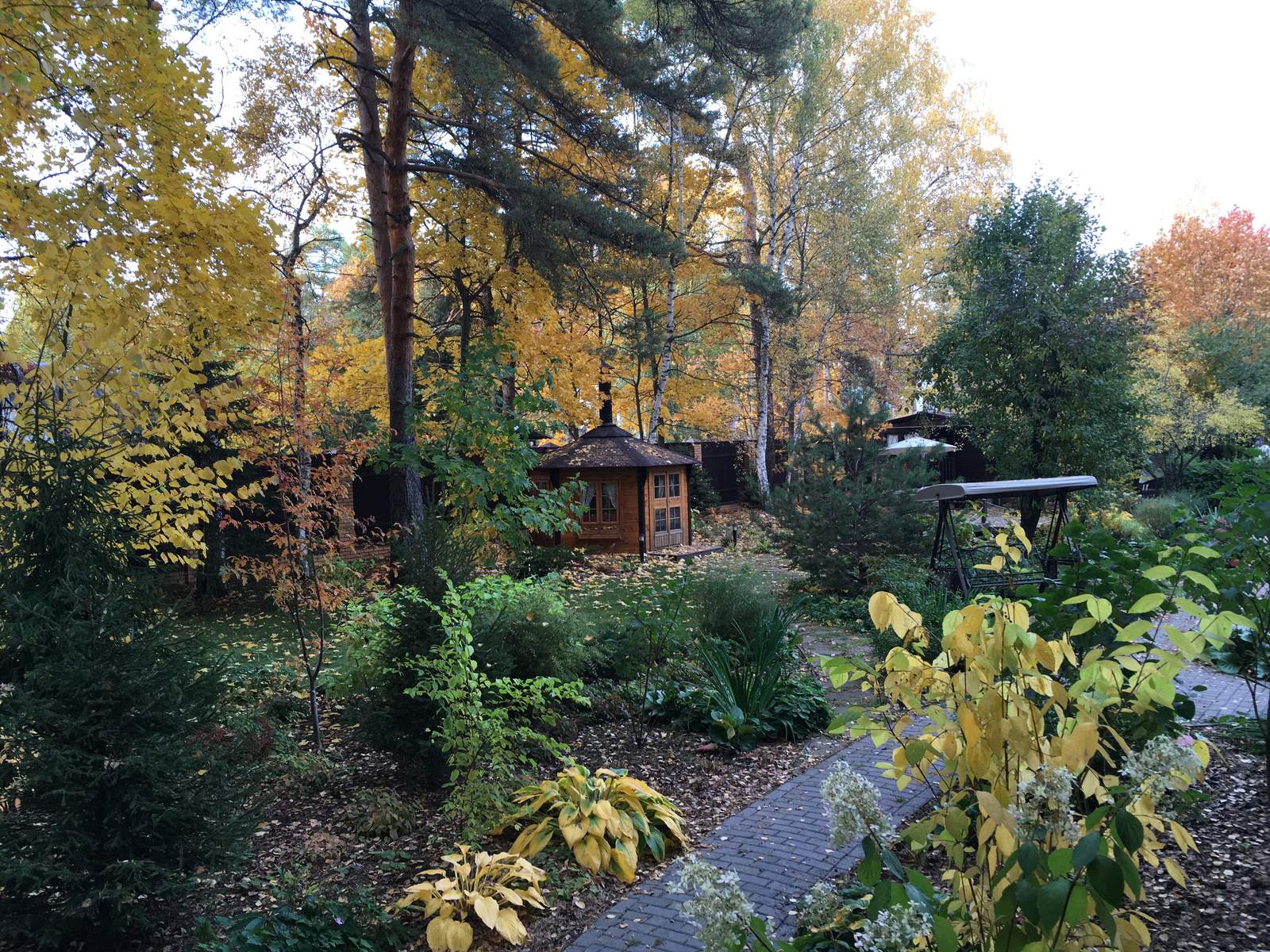 Белкин сад. Осень 2019