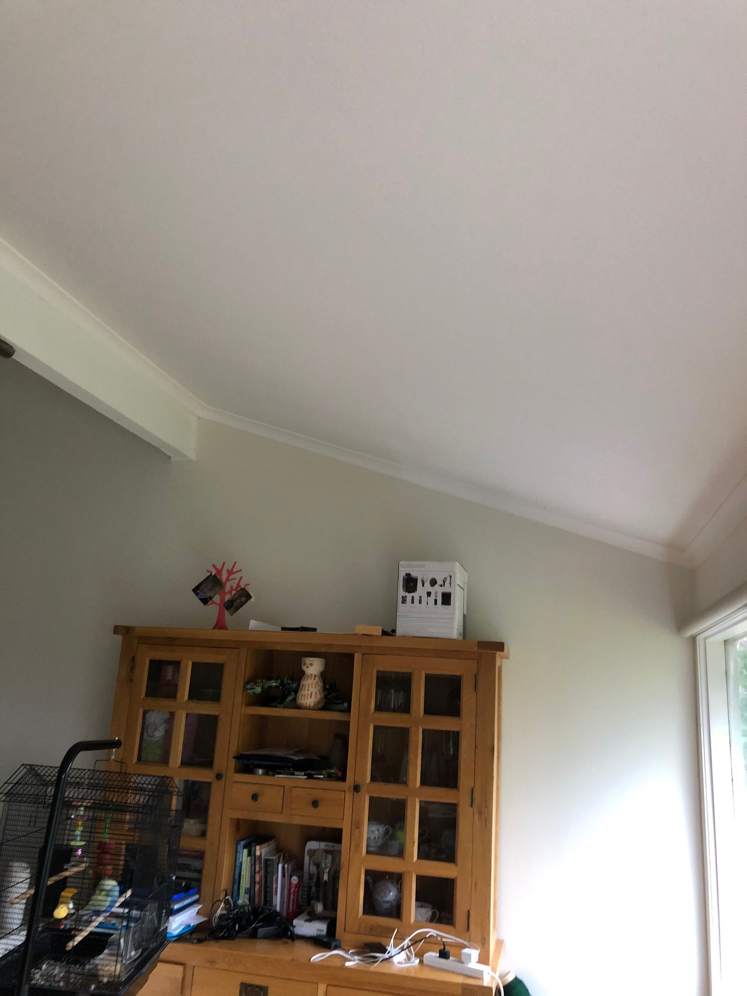 READY TO SELL - COVID 19 STYLE