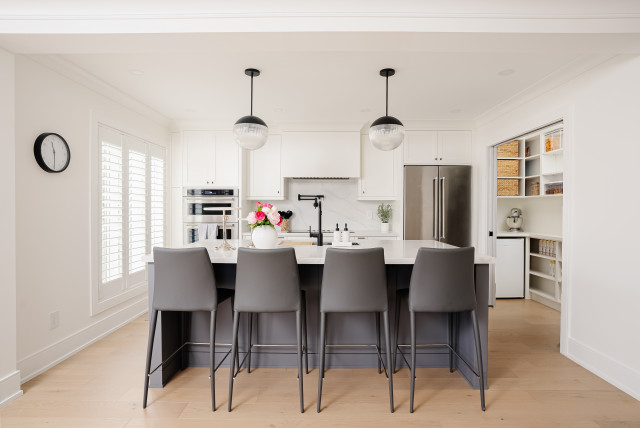 PROJECT APACHE transitional-kitchen