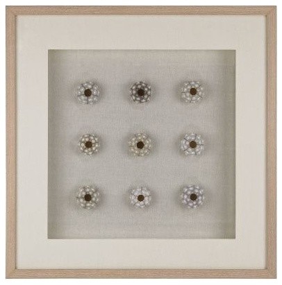 Sea Urchin Wall Decor - Beach Style - Wall Accents - by Buildcom | Houzz