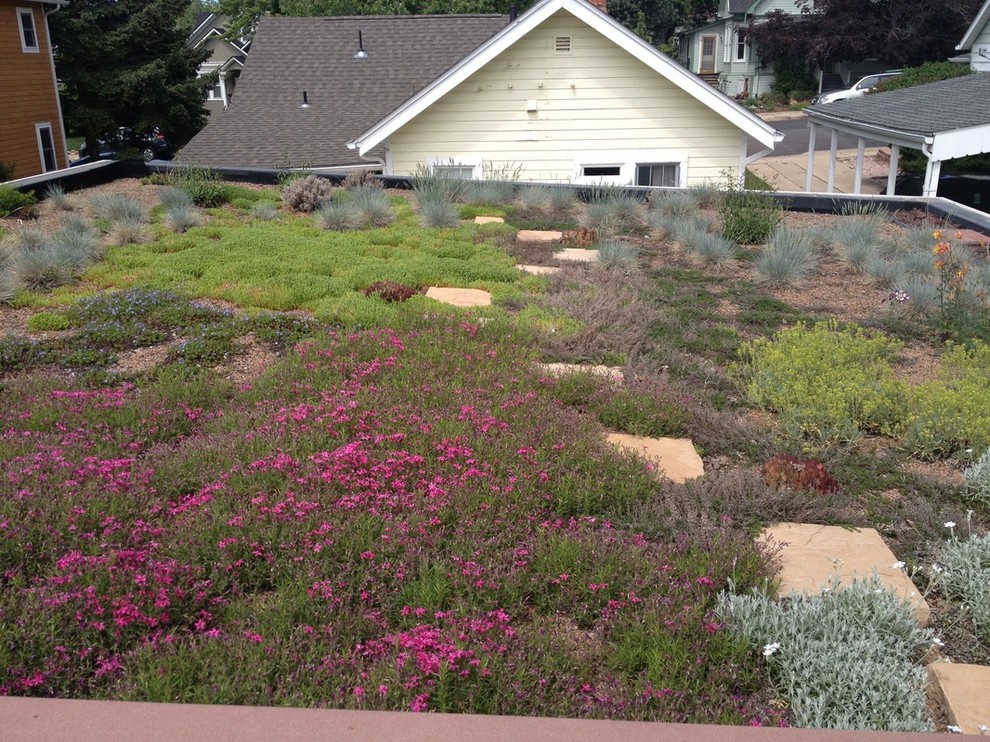 «Зеленая крыша»