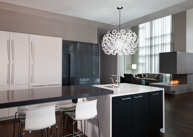 Elmhurst, IL modern-kitchen