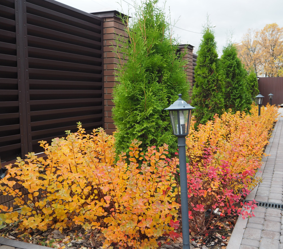 Сад с водоёмом