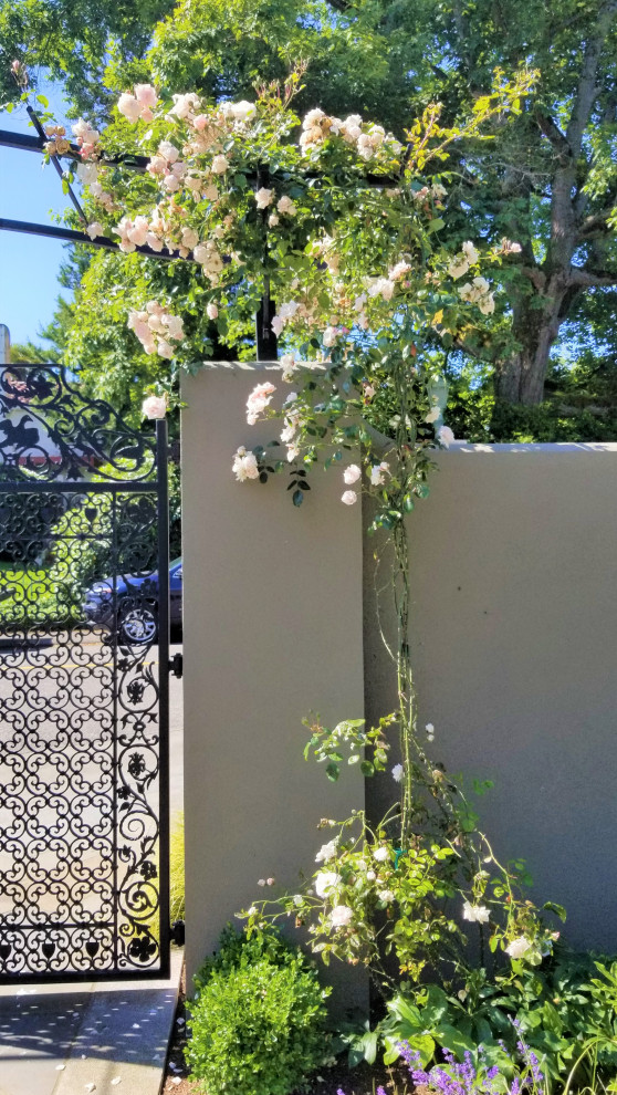 Foto di un giardino formale mediterraneo esposto in pieno sole davanti casa in estate con cancello, pavimentazioni in pietra naturale e recinzione in metallo