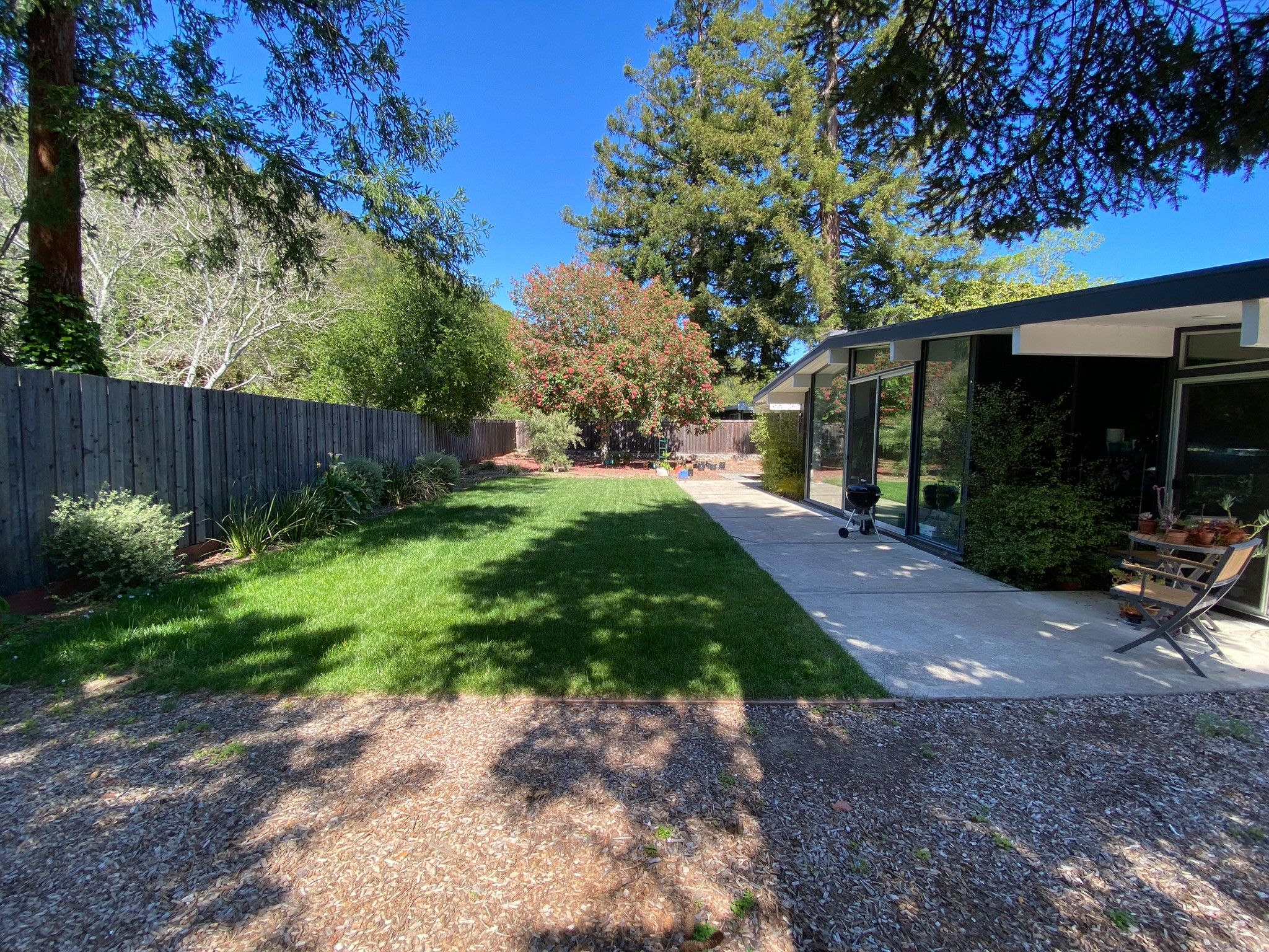 Contemporary Eichler Backyard Remodel