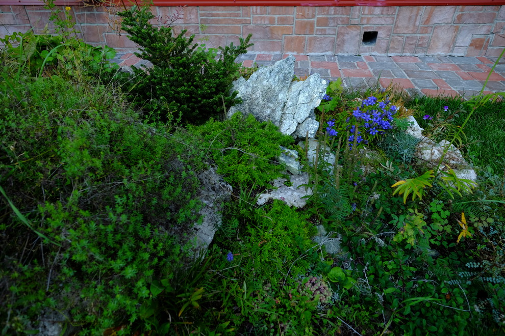 Зеркальный Ландшафтное проектирование