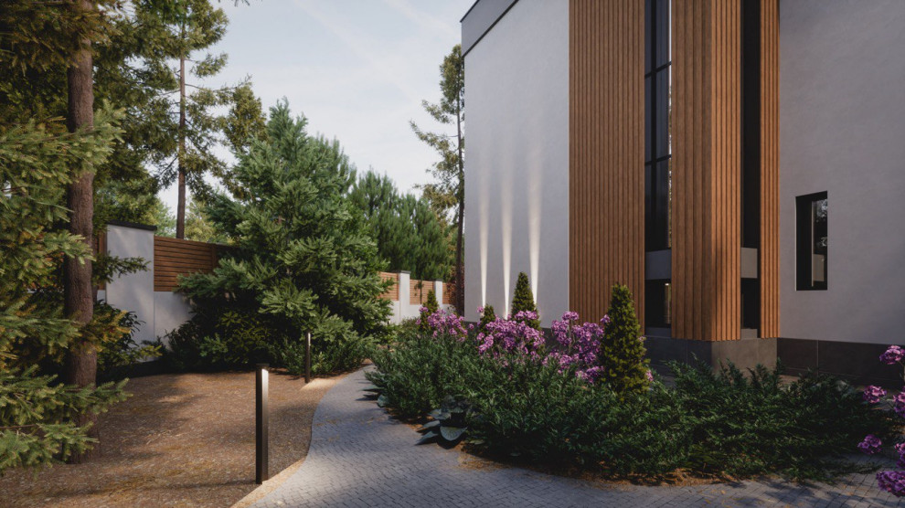 Завораживающий лес