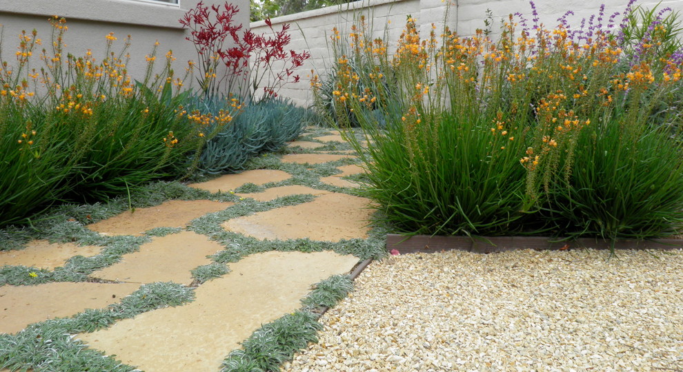 Photo of a mid-sized contemporary backyard full sun xeriscape in San Diego with natural stone pavers.