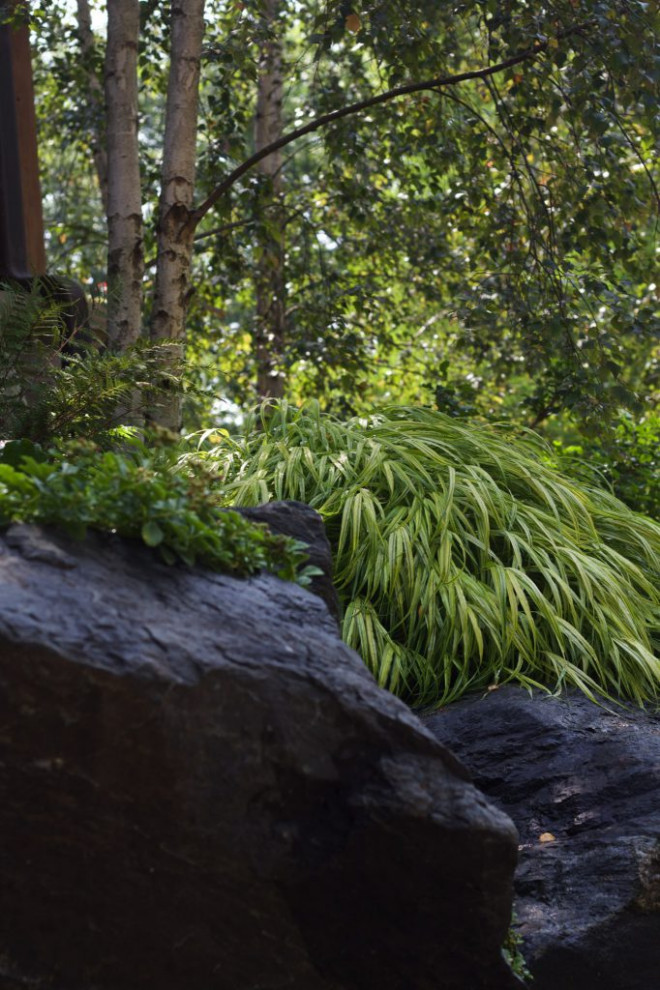 Photo of a rustic landscaping in Chicago.