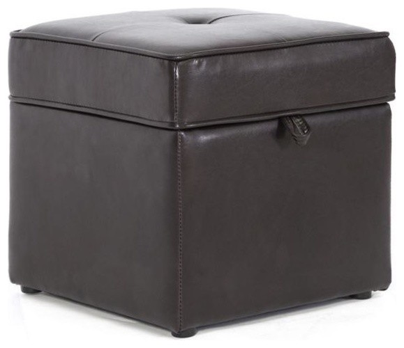 Sydney Brown Modern Ottoman, Storage Ottoman Dark Brown Transitional