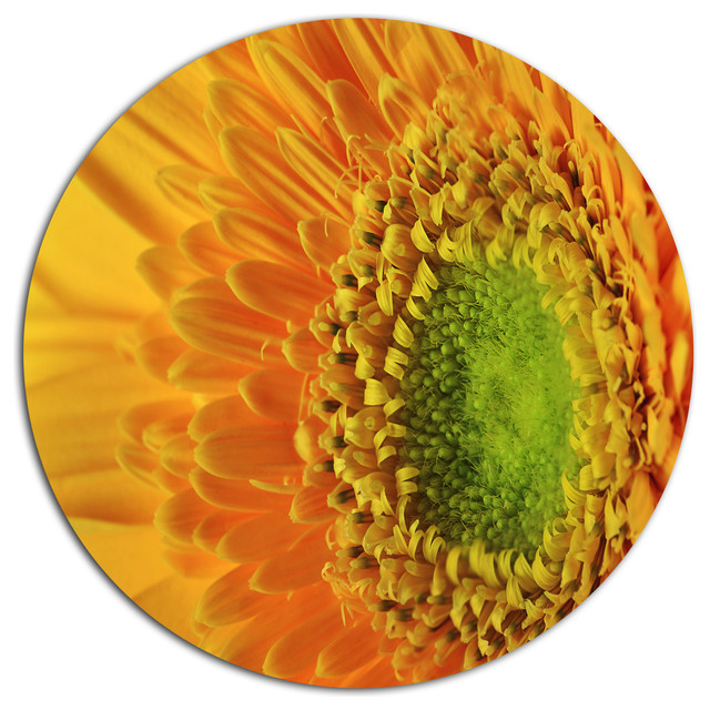 Yellow Daisy Gerbera Flower Close-Up, Flowers Disc Metal Wall Art