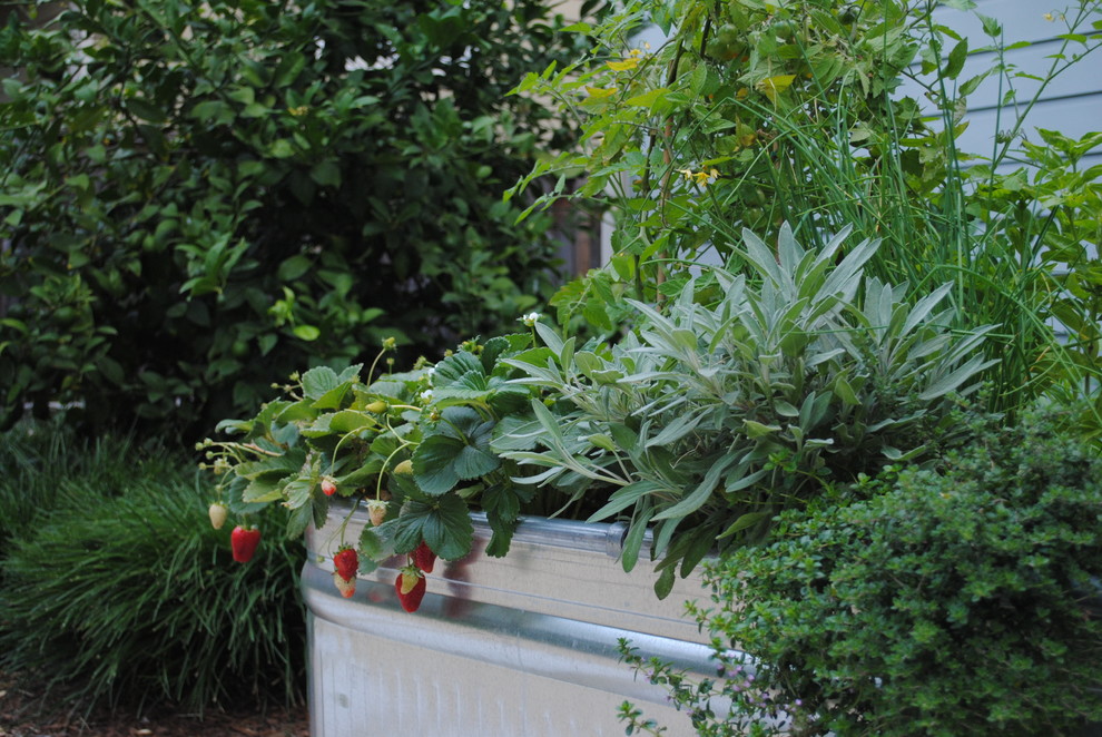 Design ideas for a large contemporary drought-tolerant backyard gravel retaining wall landscape in San Francisco.