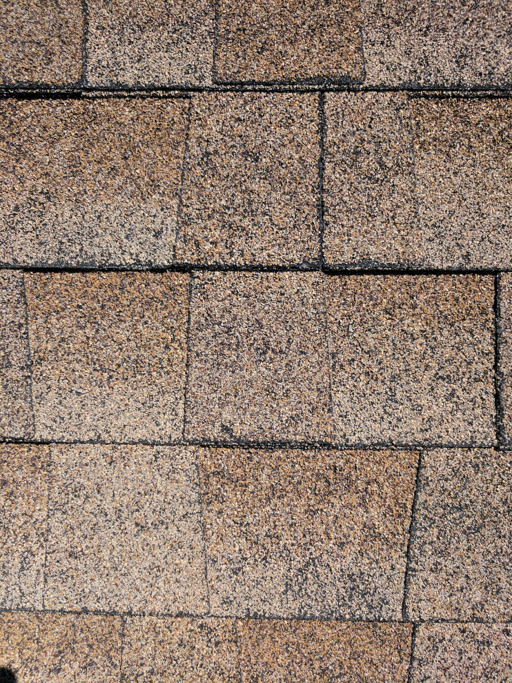 Shingle Roof