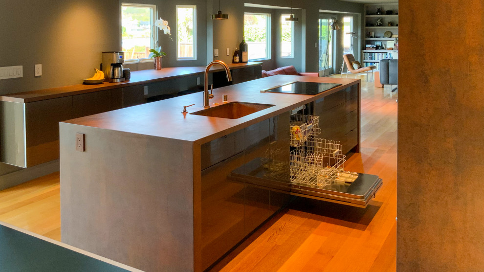 Modern Industrial Kitchen Remodel