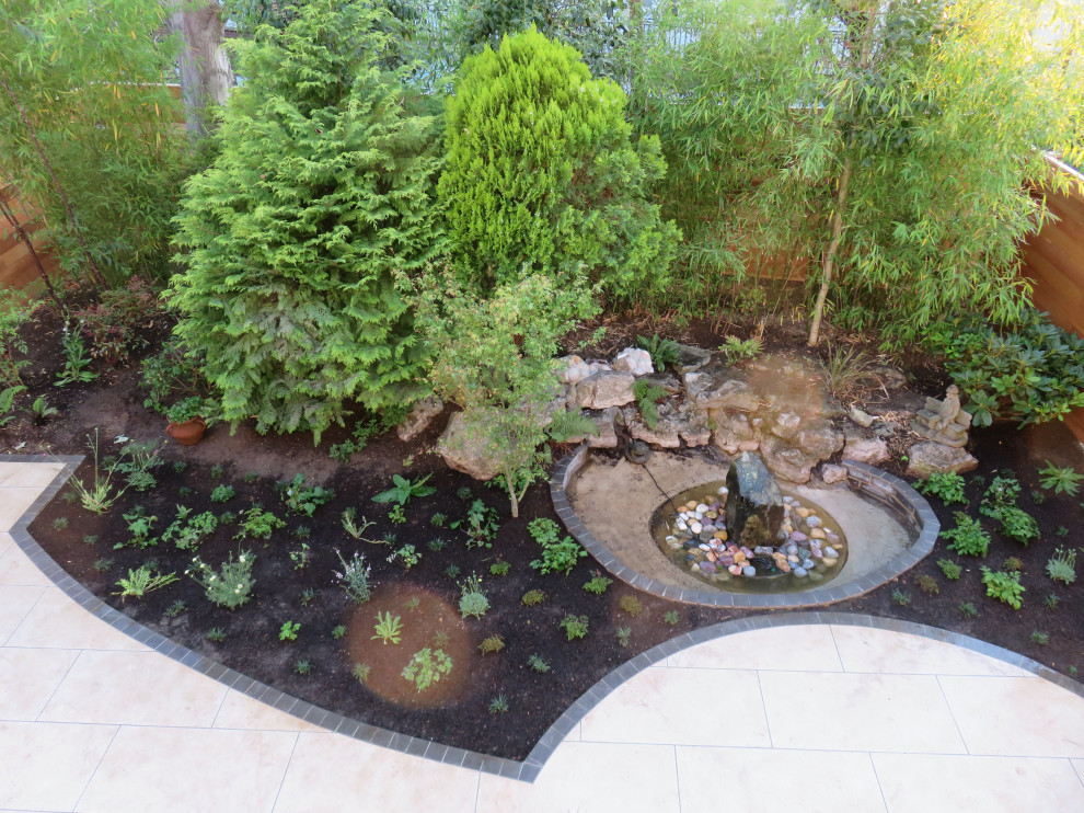 Back Garden, London