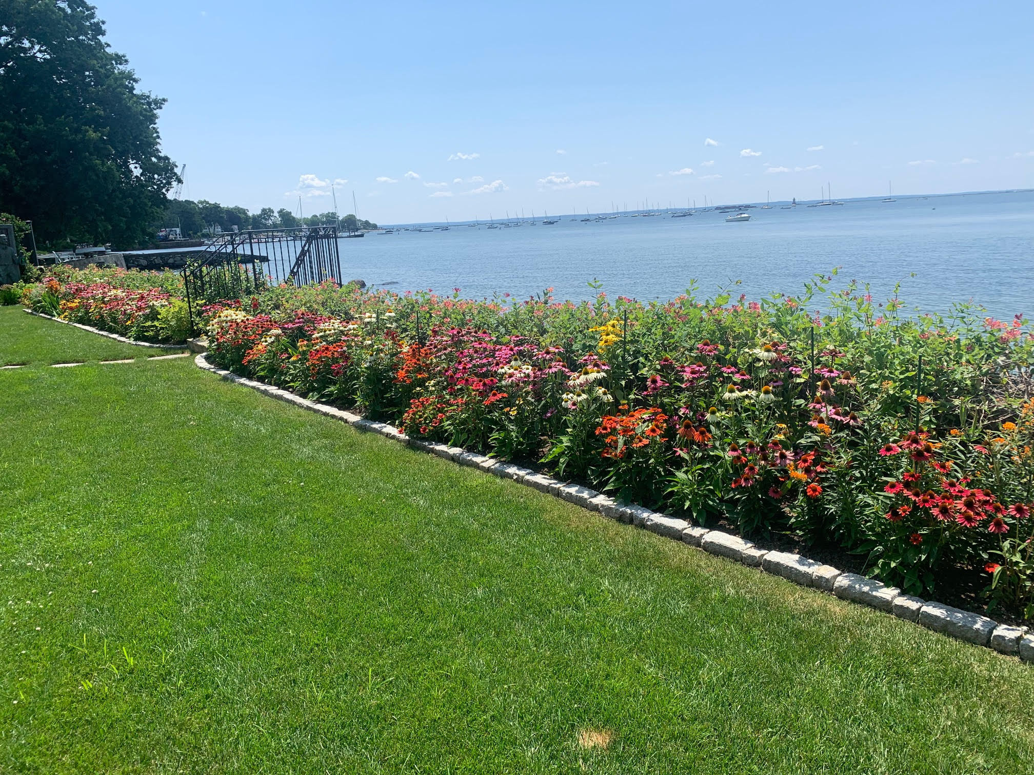 Mixed Echinacea  Border with Sedums, Milkweed, Butterfly weed, pink Honeysuckle vine on sea wall. Designed and maintained by Peter Atkins and Associates. 2021