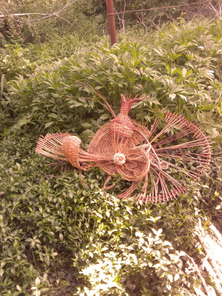 Фитофантазия 5