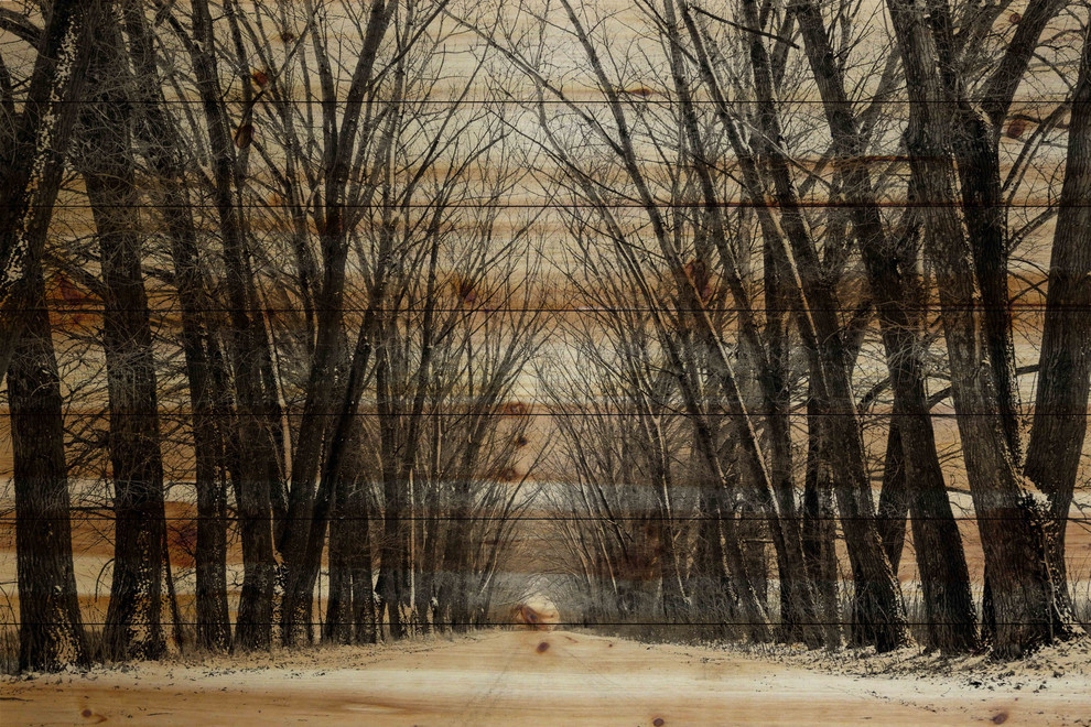 "Tree Path" Print on Natural Pine Wood, 36"x24"