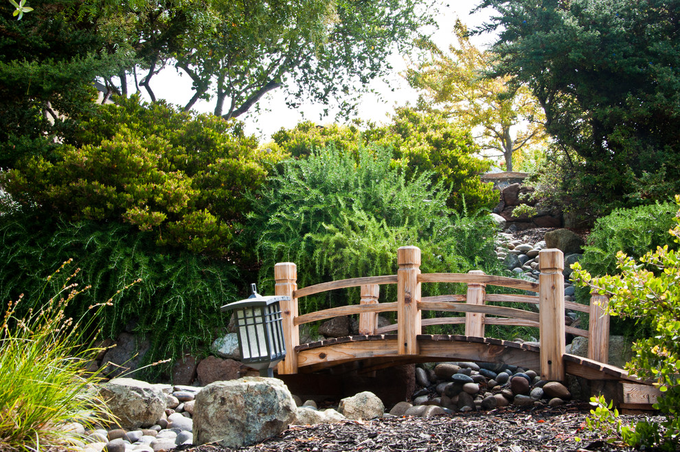 Inspiration for an asian garden in San Luis Obispo with with rock feature.