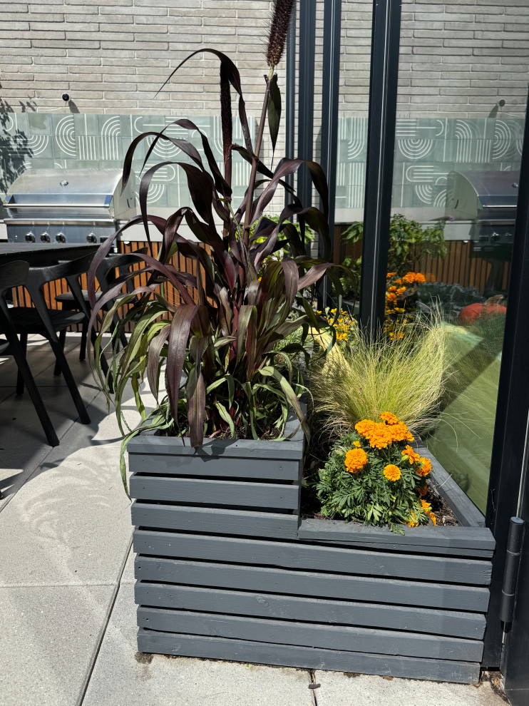 Williamsburg Brooklyn Penthouse