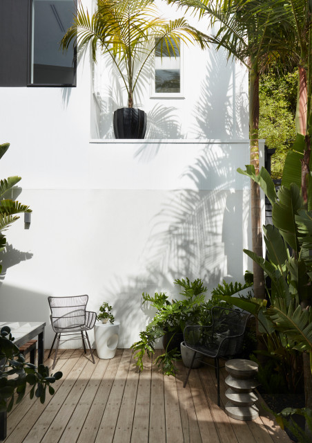 Stawell St Prahran Townhouse Renovation contemporary-garden